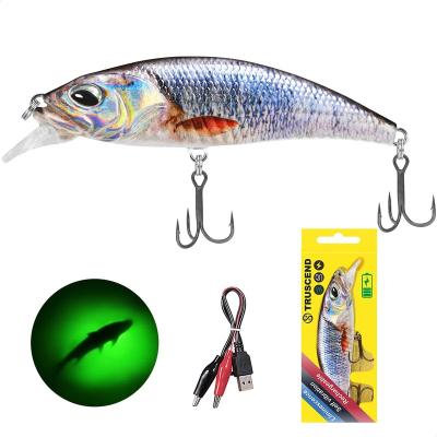 China High Strength Custom Bass Zander Trout Truscend Swimbait Bionic Hard Robot Minnow Perch Fishing Sea Lure for sale