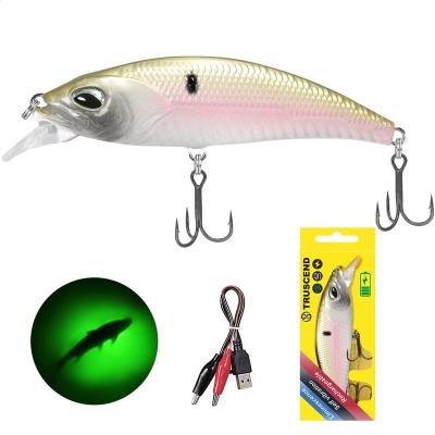 China High Strength Custom Bass Zander Trout Truscend Swimbait Bionic Hard Robot Minnow Perch Fishing Lure For Pond for sale