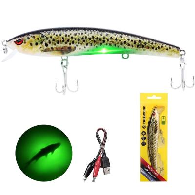 China High Strength Wholesale Musky Hard Minnow Striper LED Plastic Truscend Roboic Swimbait Fishing Lure For Pond for sale