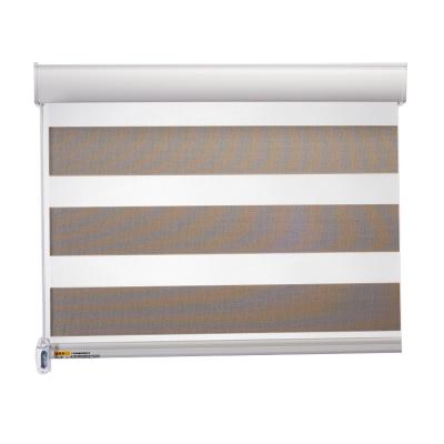 China Environmentally Friendly Luxurious Manual Blackout Window Shade Zebra Roll Curtain Blind With Round Box for sale