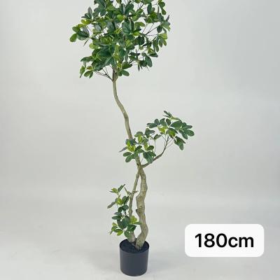 China Environmental protection artificial green bonsai plant artificial tree for resort office shopping mall decoration for sale