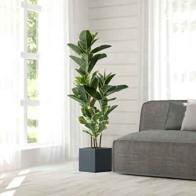 China Environmental Protection Green Plant Rubber Tree Artificial Artificial Ficus Elastica For Home Decor for sale