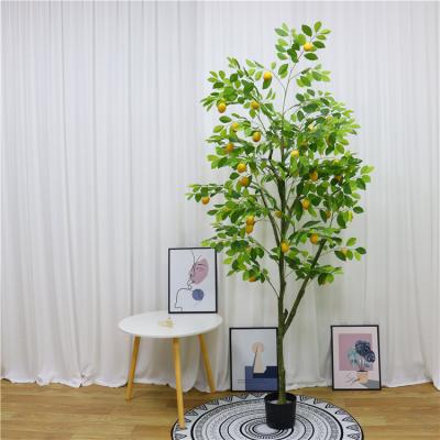 China Environmental Protection Made In China Eco-friendly Plastic Artificial Trunk Plants Decorative Artificial Lemon Tree for sale