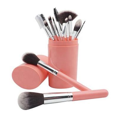 China Angular Blush 12pcs/set Portable Pink Plastic Handle Makeup Brush Set for sale