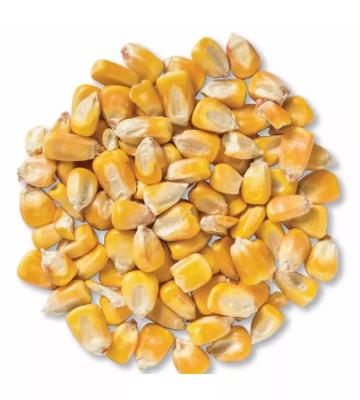 China Low Carb Hot selling wholesale freeze-dried FD Vegetables freeze dried corn kernels for sale