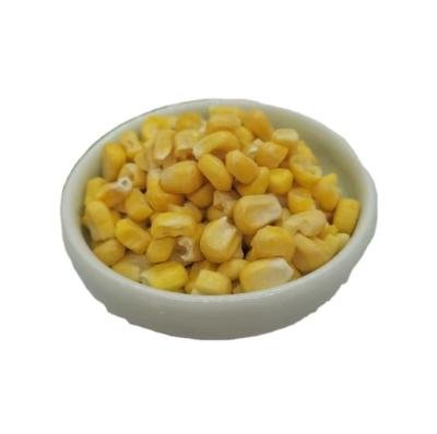 China Low Carb yellow seed popcorn maize non-gmo best popcorn Kernels popping corn raw maize seeds organic dried grade product maize for sale