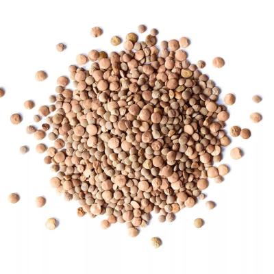 China Low Carb high quality best price export green red bags style packaging green lentils for sale