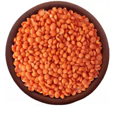 China Low Carb High Quality Organic Canadian Whole Red Lentils for sale