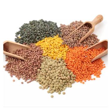 China Low Carb Wholesale Price Red Lentils Red Whole Lentils and Red Split Lentils Wholesale for sale