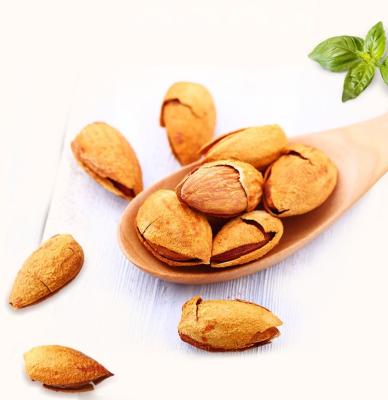 China Dried Cheap Price wholesale dry fruits bulk natural raw blanched almond for sale