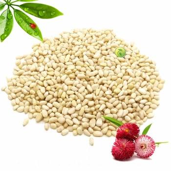 China Food Top Grade Pine Nuts Pine Nut Kernels Discount Price / Cheap Modern Dry Fruits Pine Nuts for sale