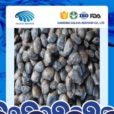 China iqf FROZEN vacuumed frozen cooked baby clams with delicious taste for sale