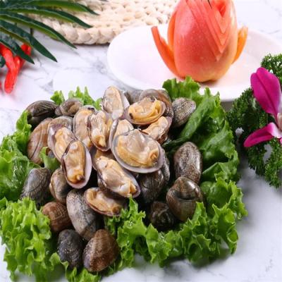 China FROZEN Fresh Frozen Boiled Baby Clam With High Quality for sale