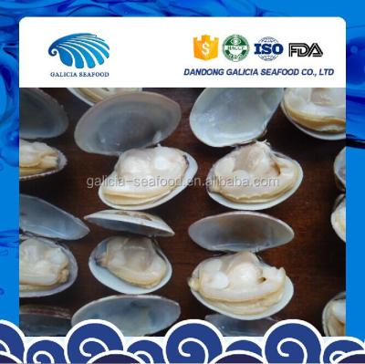 China HACCP Certification Cooked Baby Clam Ready To Eat for sale