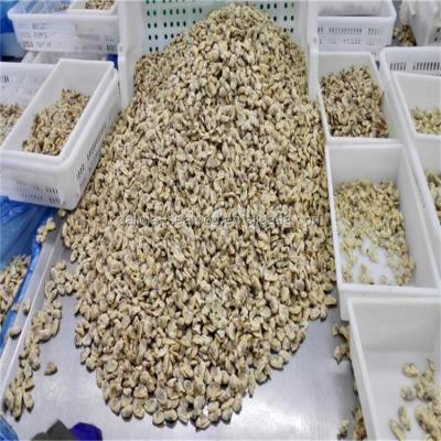 China Good Quality Factory FROZEN Superior Frozen Shortneck Clam Meat for sale