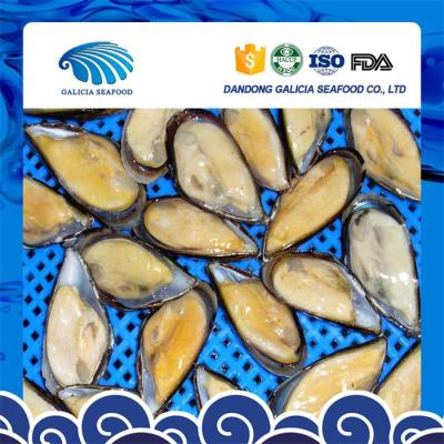 China Half shell blue mussel frozen meat JELLY with various sizes for sale