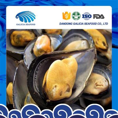 China FROZEN fresh frozen mussel meat with half shell with good services for sale