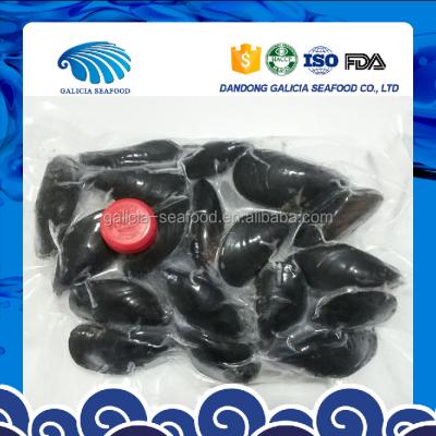 China Pre-cooked mussels vacuum packed frozen cooked for sale