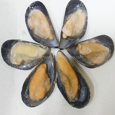 China FROZEN Raw Frozen Blue Mussel in Shell for sale