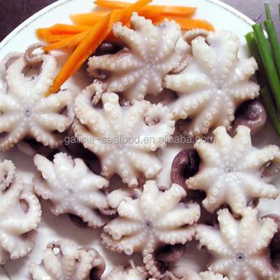 China IQF Cleaned Baby Octopus 16-25 for sale