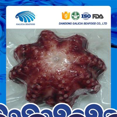 China big size flower frozen cooked octopus with better price 0.5-1 for sale