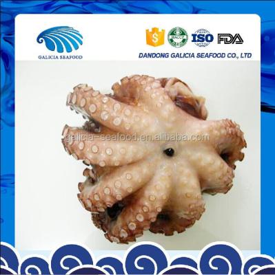 China Frozen cleaned octopus 0.5-1 for sale