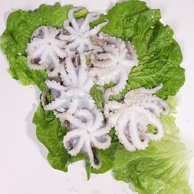 China Fresh frozen baby octopus for sale 16-25 for sale