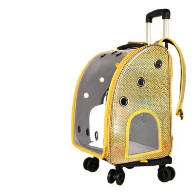 China Hot Selling Large Space Pet Trolley Pet Trolley Capsule Case Pet Carrier Bags Windproof Large Transparent Bag for sale