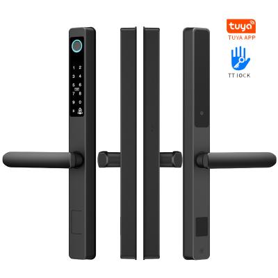 China /Office/School etc electric hook lock Home Biometric Fingerprint Glass Handle Set For Double Narrow Edge Sliding Door Slide Lock Wifi Aluminum Tuya for sale