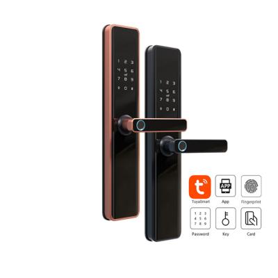 China Aluminum tuya ttlock app home /office/apartments/school home fingerprint etc. for real estate building cerradura para puerta main inteligente smart key door lock for sale