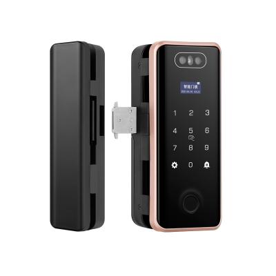 China New Face 50 Fingerprint 100 Face Recognition 3D Face Recognition Card+Password 250 Digital Electronic Intelligent Keyless Security Door Lock/Wifi Auto Tuya System for sale