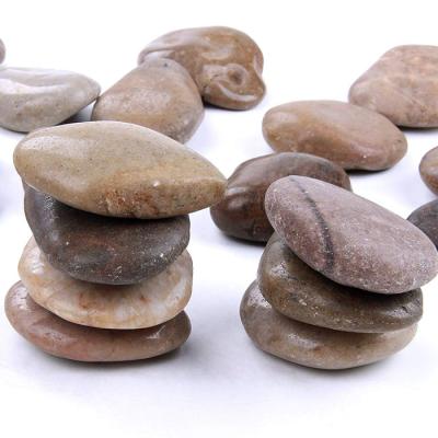 China Aquariums and Vases Mini Greenhouses Black Natural High Polish Pebbles for Decorations for sale