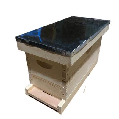 China Paint 2022Hot Sale Beekeeping Equipment Hive Beekeeping Nuc Hive With 5 Frames For Queen Bee for sale