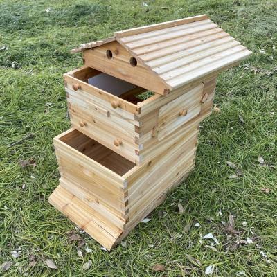 China Automatic Hive Wood Spray Painting Farms Bee Hives For Sale White Automatic Bee Hive for sale