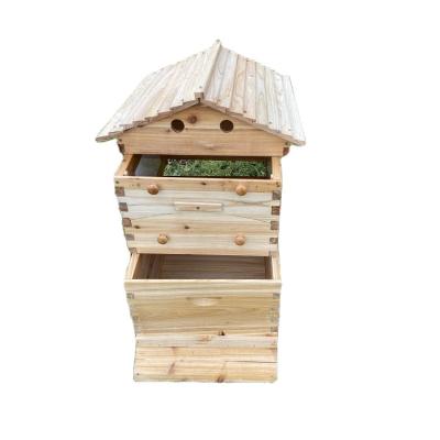 China Honey Flowing Australian Type Automatic Bee Farm Beehive High Quality Wooden 7 Frames Wooden Frames Assorted Bee Hive For Beekeeping for sale