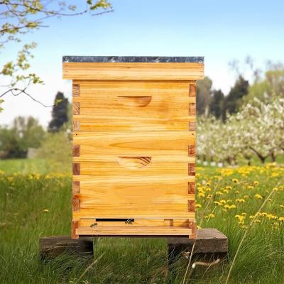 China Complete Bee Farm 10-Frames Hive Kit Hives for sale