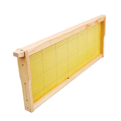 China Bee farm beekeeping tool bee hive frames with beeswax base langstroth bee frames with beeswax base for sale for sale