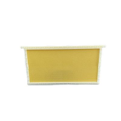 China Bee Farm Beekeeping Tools Plastic Comb Base Deep Bee Base With Frames Honey Comb Base For Sale for sale