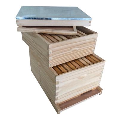 China Cultivate chinese beehive complete with frames TWO layer beehive langstroth 10 frame beehive wooden mesh for sale