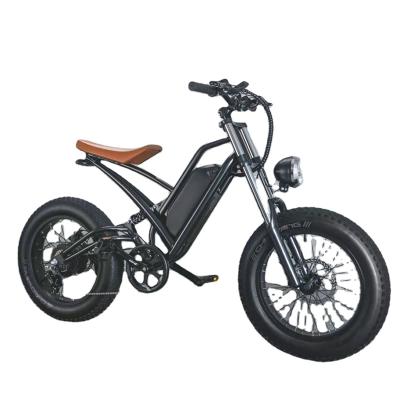 China New Long Range High Speed ​​1000W Motor Smart Tire Adult Chinese Mountain Steel Fat Tire Electric Motorcycle E-bike Moped for sale