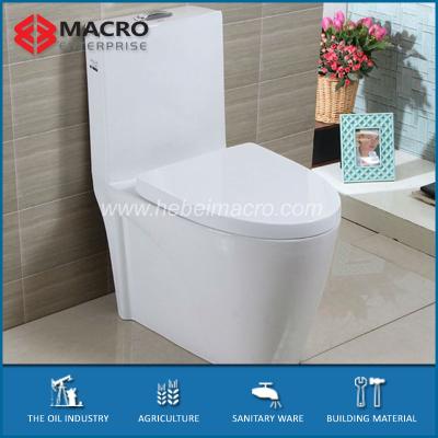 China Double-Flow Sanitary Ware Ceramic Washroom One Piece Toilet for sale