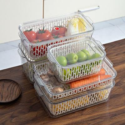 China Sustainable Airtight Reusable PET 4 Compartment Plastic Container Food Storage Container Set for sale