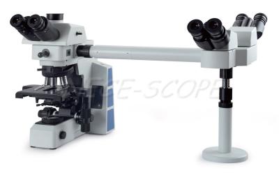 China Microscopio SID acodado doble del Multi View de la luz fluorescente con la etapa de 187m m X166mm en venta