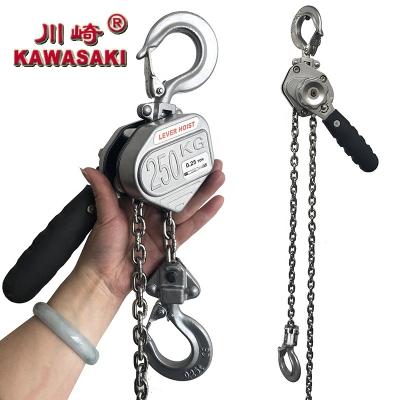 China 250kg Manual Chain Hoist 0.25t G80 Manual Chain Ratchet Crane 250kg Mini Lever vl 0.5t Mini Cranes for sale