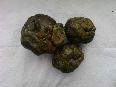 China Competitive Price raw Propolis block natural for sale