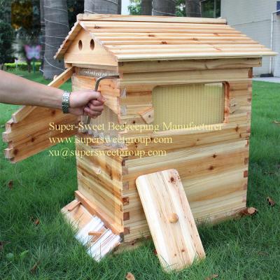 China China beekeeping tools honey self-flowing bee hive/beehive with 7pieces frames for sale