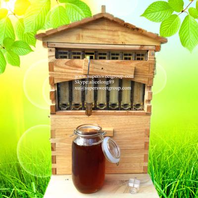 China New style bee box automatic flowing honey bee hive wood with frame for sale