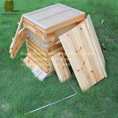 China Plastic Self-flowing Honey Frames Frames Producer&Supplier for sale