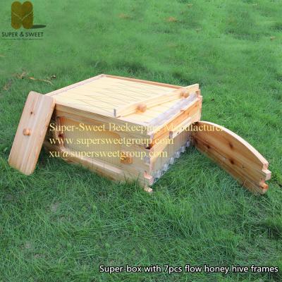 China Flowing Hive Frames | Self-flowing Hive for sale