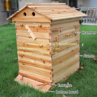 China 7 Frames Automatic Honey Self Flow Beehive Wooden Langstroth Bee Hive for sale